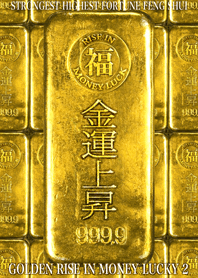 最強最高金運風水 黄金の金運上昇 2