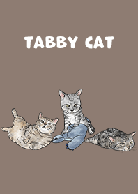 tabbycat5 / brown
