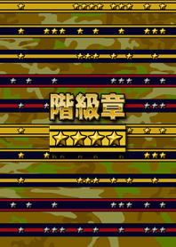 軍銜 (陸軍) W