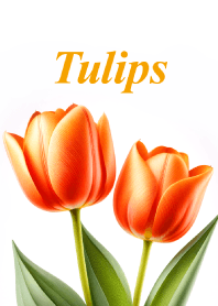 Tulips vol.17