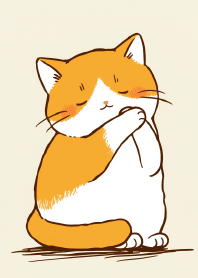 可愛貓咪寶貝 15