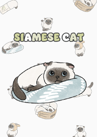 siamesecat7 / white
