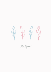 Tulip -blue pink