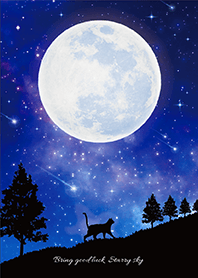 带来好运✨满月和流星