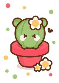 I love baby bear cactus 2