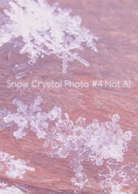 Snow Crystal Photo #4-25Not AI