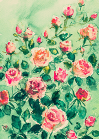 Beautiful rose flower(R4661)