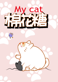 我的貓-棉花糖