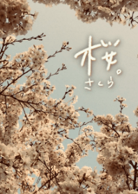 sakura,sakura.