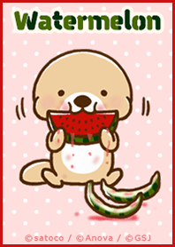 突撃！ラッコさん スイカに夢中♪