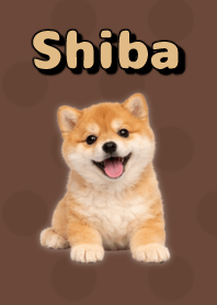 Shiba Inu Plush Theme Brown 02