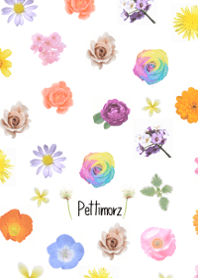 Pettimorz Theme 20