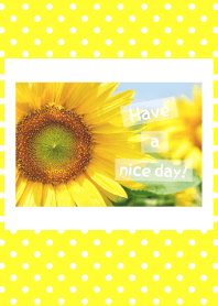Sunflower 21