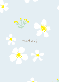 黄と白い花5