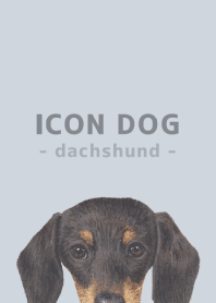 ICON DOG - dachshund - PASTEL BL/01