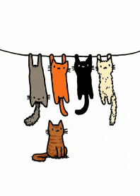 Do Not Disturb: Cat Drying X