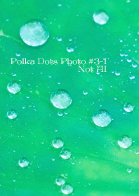Polka Dots Photo#3-1Not AI