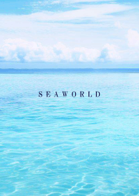 SEA WORLD-Hawaii 90