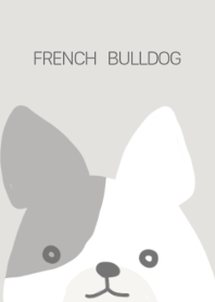 French bull dogs