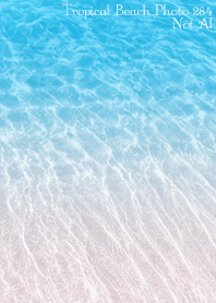 Tropical Beach Photo 284 Not AI