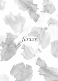 Sweet pea, full of clarity.8.