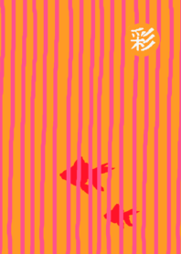 ปลาทองลายญี่ปุ่นผู้ใหญ่