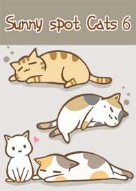 sunny spot cats No.6