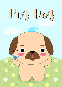 Love Cute Pug Dog Theme