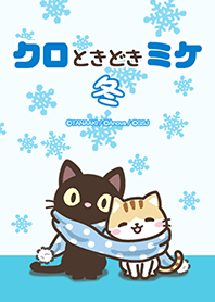 black cat and calico cat Winter
