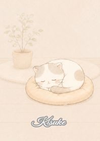 Cozy Lazy Cat: Kisuke