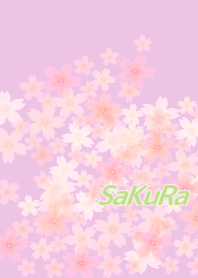 Beautiful SAKURA13