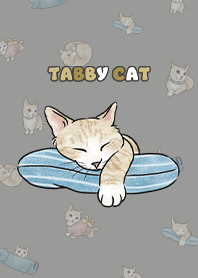 creamtabby2 / dim grey