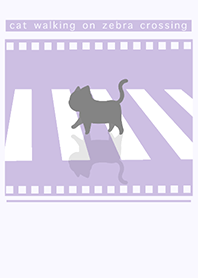 cat zebra crossing J-gray purple. gray