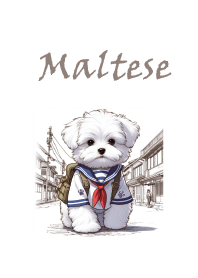 Maltese Toby Puppy-accompany you1