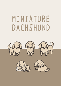 ゆるっとゴールドミニチュアダックスさん