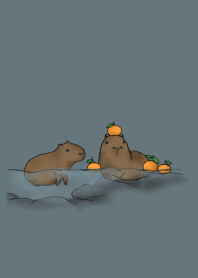 capybara and orange. go to a hot spring.