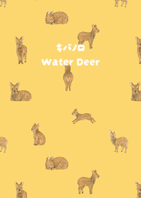 Water Deer03 light yellow JP