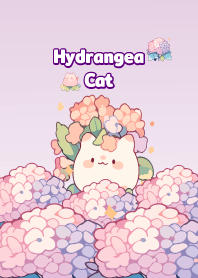 Hydrangea cat