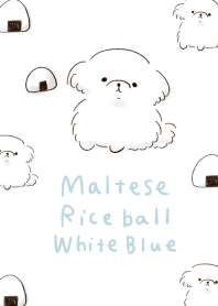 Maltese rice ball White Blue