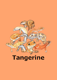 ENOGU Tangerine Reopa Reptiles Theme