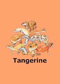 ENOGU タンジェリンレオパ 爬虫類 着せ替え