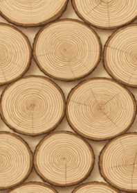 Natural Wood Log Slice Pattern