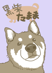 黒柴たまこ