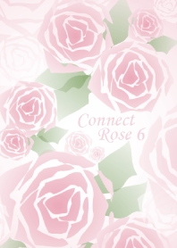 Connect Rose Vol.6