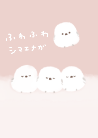 癒しのふわふわシマエナガ