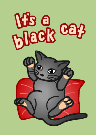 Theme of Black cats