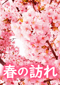[revised version].-*cherryBlossom ver3