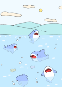 swimming shark