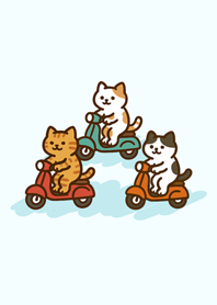 自転車に乗る猫-アクアブルー
