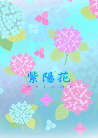 * Hydrangea of hydrangea *